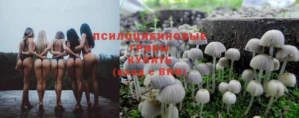 соль ск Аркадак
