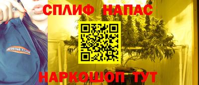 mdpv Краснознаменск
