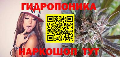 mdpv Краснознаменск
