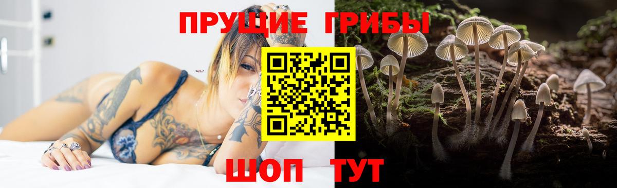 Коммунар  Псилоцибиновые грибы Cubensis  Вход с VPN 